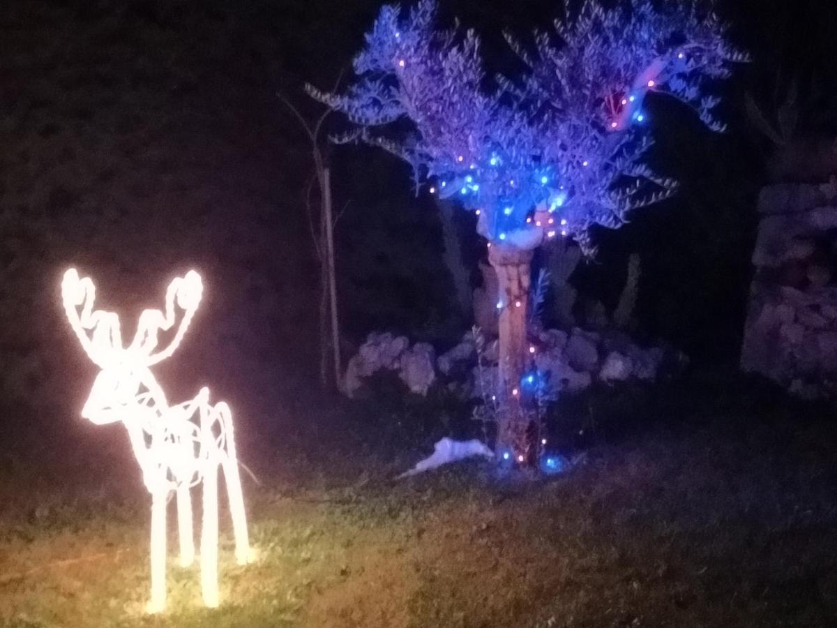 B&B Il Giardino Di Eolo Pietramelara Eksteriør billede